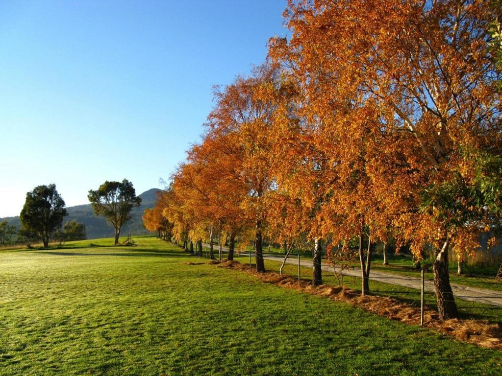 Lilydale Plovers Ridge Country Retreat 빌라 객실 사진