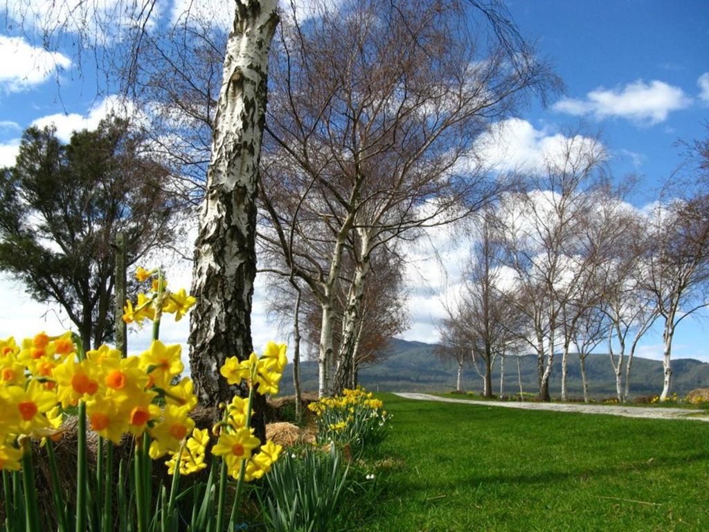 Lilydale Plovers Ridge Country Retreat 빌라 객실 사진