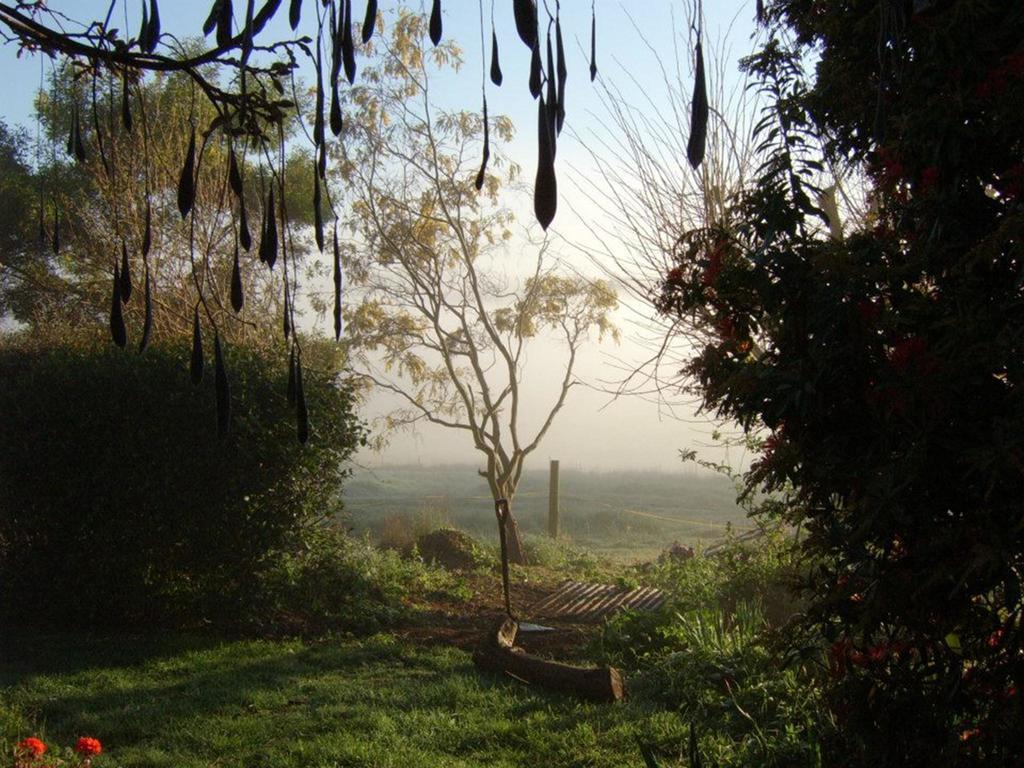 Lilydale Plovers Ridge Country Retreat 빌라 객실 사진
